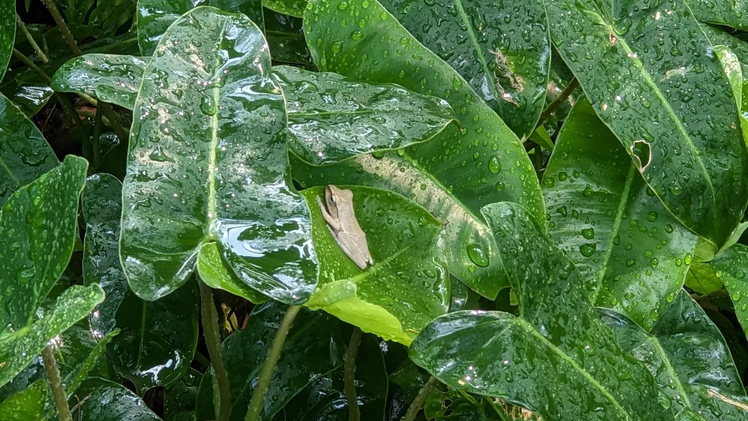 EcoXuan surrounds · photo 11