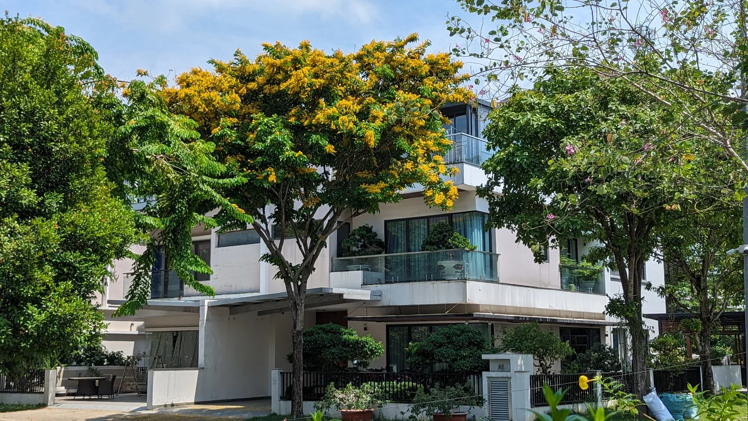 EcoXuan surrounds · photo 15