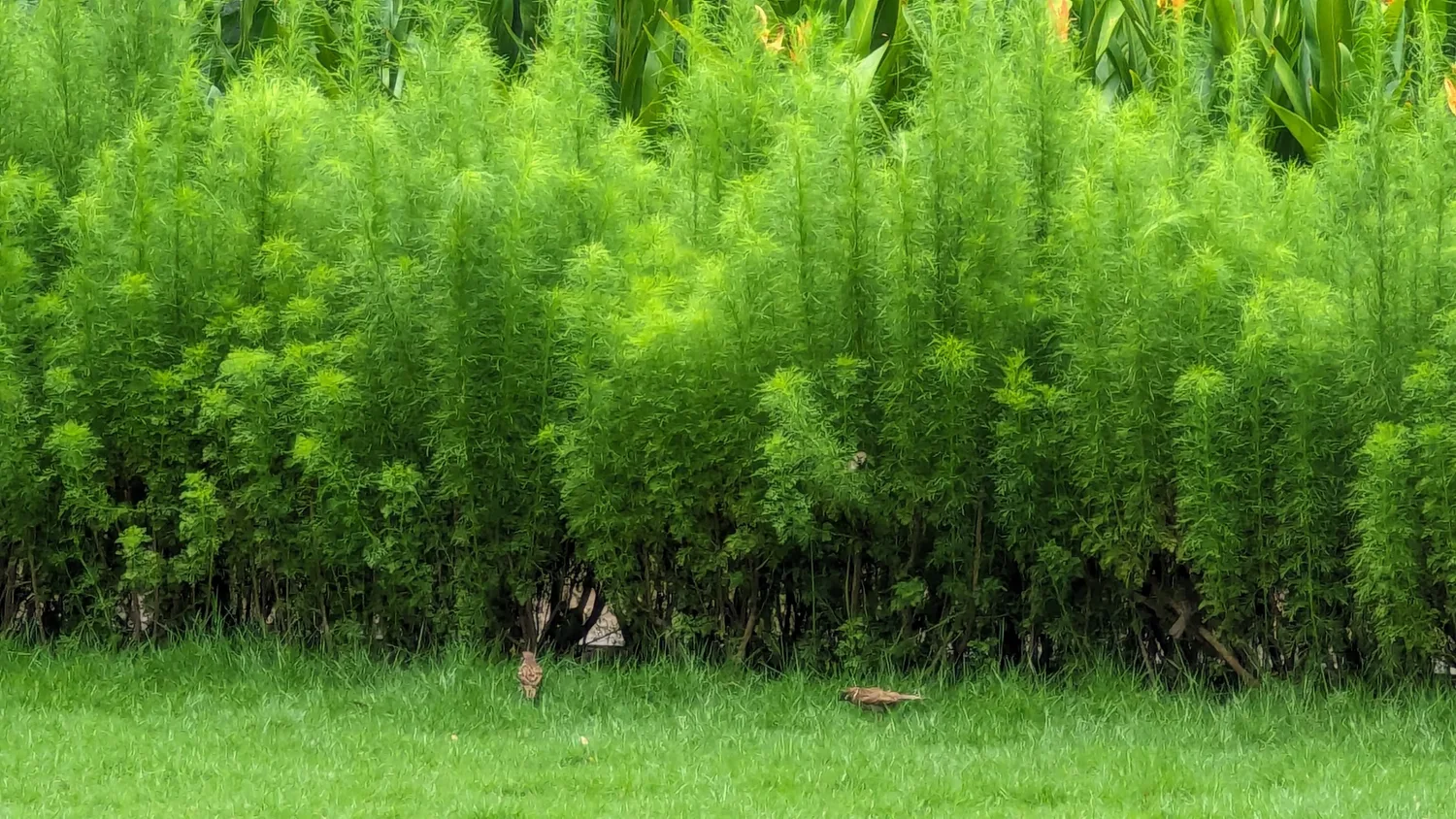EcoXuan surrounds · photo 17