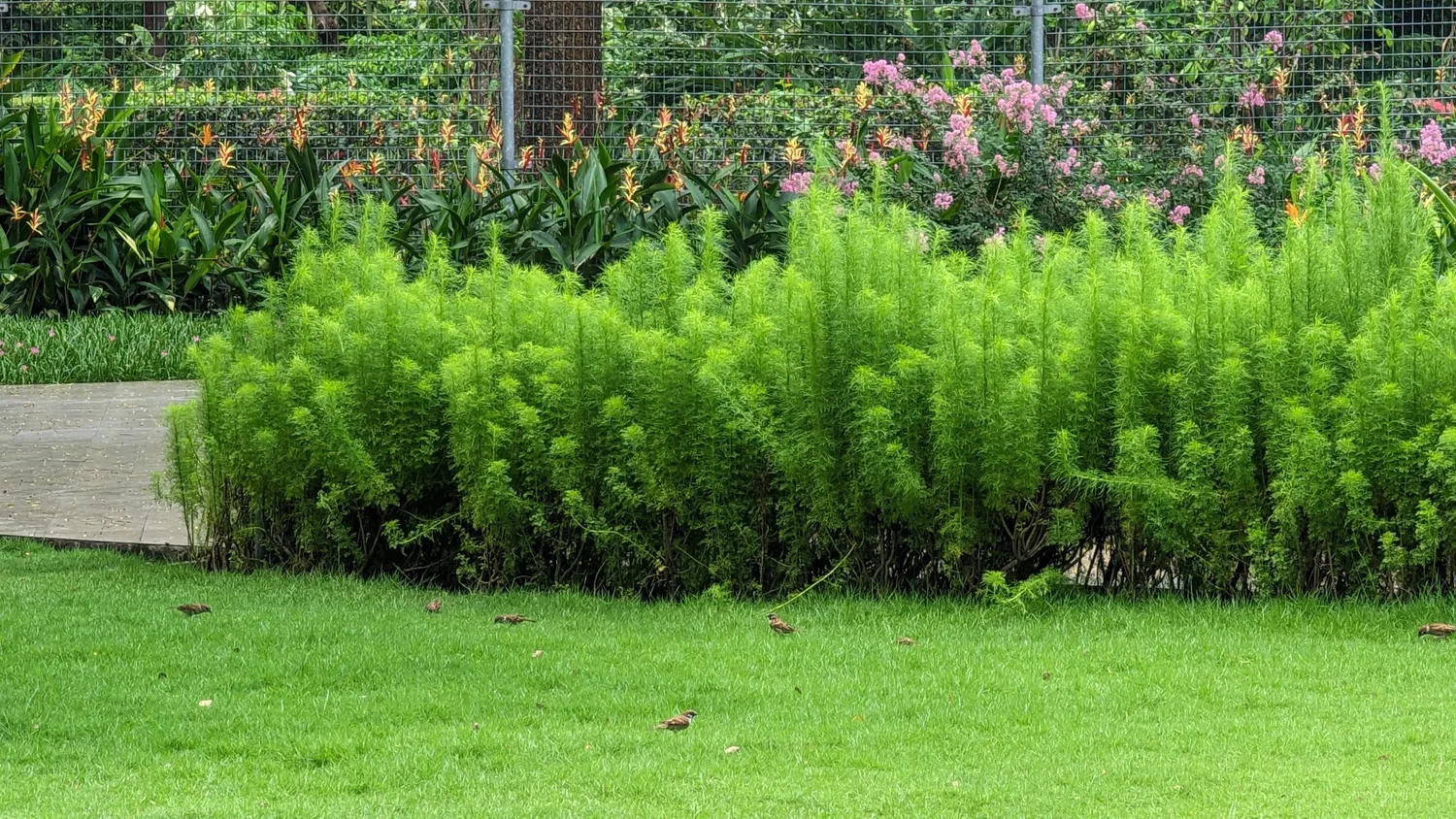 EcoXuan surrounds · photo 18