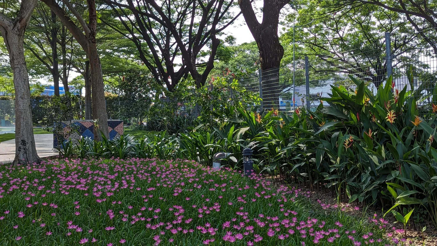 EcoXuan surrounds · photo 20
