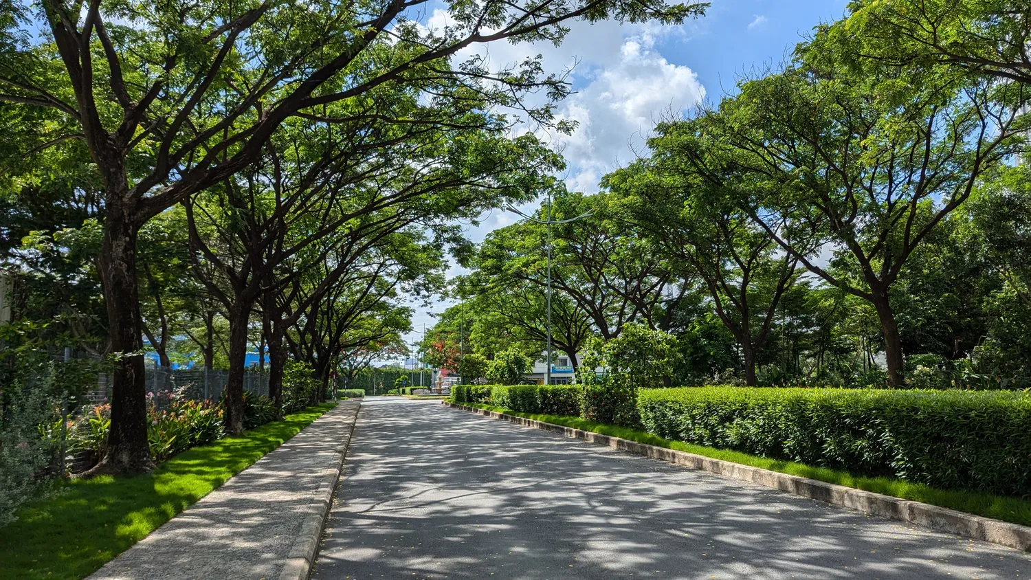 EcoXuan surrounds · photo 22