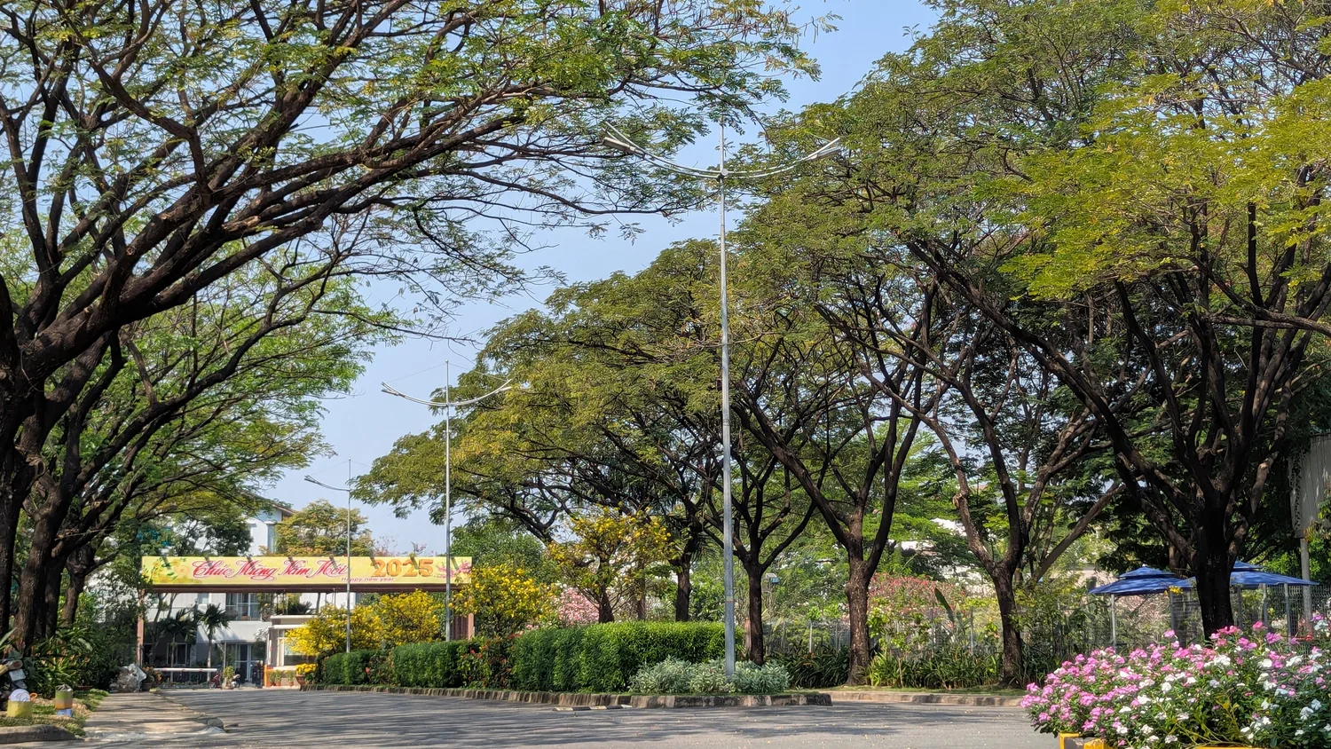 EcoXuan surrounds · photo 31